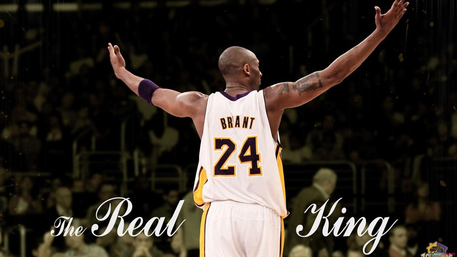 迪马利亚的黄昏独舞，当北欧童话遇上美洲风暴